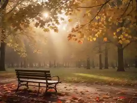 Ein herbstlicher Park mit gelb und orange gefärbten Blättern und einer leeren Parkbank im weichen Licht der tiefstehenden Sonne. - Foto: über boerse-global.de