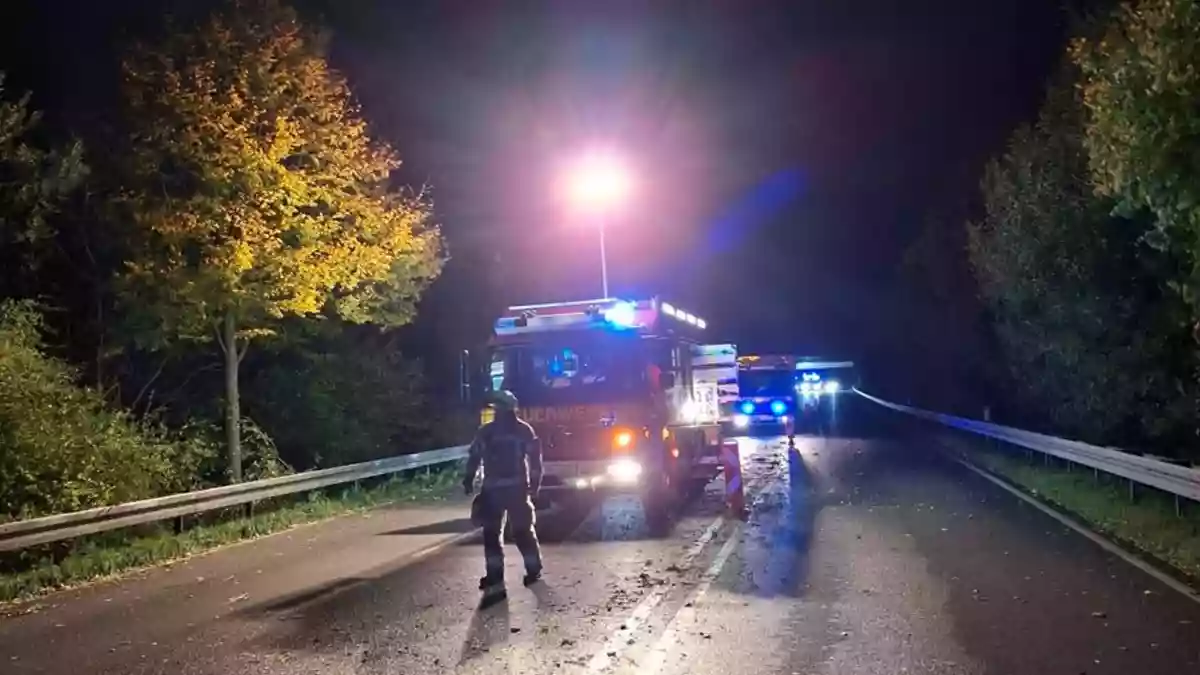 FW Pulheim: Erster Herbststurm bringt Arbeit für die Feuerwehr - Bild: presseportal.de