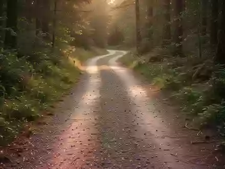 Ein einsamer, geschwungener Waldweg bei Sonnenlicht, der in der Natur zu einem Spaziergang einlädt. - Foto: über boerse-global.de