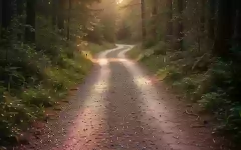 Ein einsamer, geschwungener Waldweg bei Sonnenlicht, der in der Natur zu einem Spaziergang einlädt. - Foto: über boerse-global.de