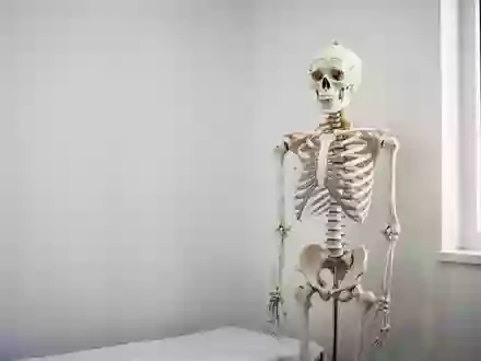 Ein anatomisches Skelettmodell in einem hellen, minimalistischen Behandlungsraum. - Foto: über boerse-global.de