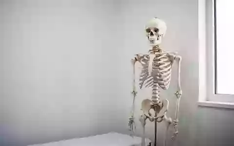 Ein anatomisches Skelettmodell in einem hellen, minimalistischen Behandlungsraum. - Foto: über boerse-global.de