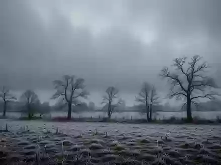 Winterlandschaft mit frostbedeckten Feldern und bewölktem Himmel bei kaltem, feuchtem Wetter. - Foto: über boerse-global.de
