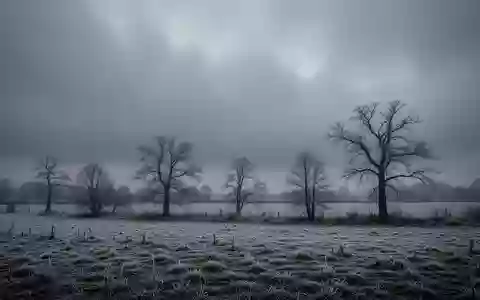 Winterlandschaft mit frostbedeckten Feldern und bewölktem Himmel bei kaltem, feuchtem Wetter. - Foto: über boerse-global.de
