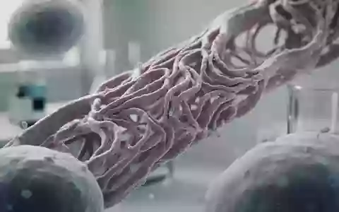 Mikroskopische Aufnahme von mitochondrialen Zellstrukturen im Laborumfeld - Foto: über boerse-global.de