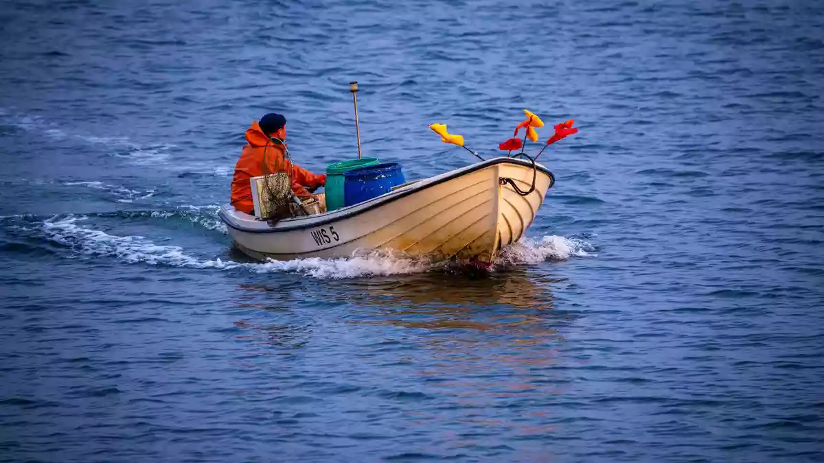 Es steht nicht gut um die Fischerei an der deutschen Ostseeküste. (Archivbild) - Bild: Jens Büttner/dpa