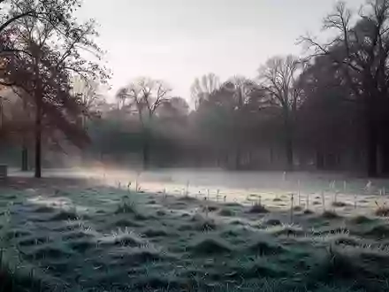 Eine frostbedeckte Parklandschaft an einem kalten Herbstmorgen mit leichtem Nebel und kahlen Bäumen. - Foto: über boerse-global.de