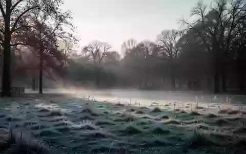 Eine frostbedeckte Parklandschaft an einem kalten Herbstmorgen mit leichtem Nebel und kahlen Bäumen. - Foto: über boerse-global.de