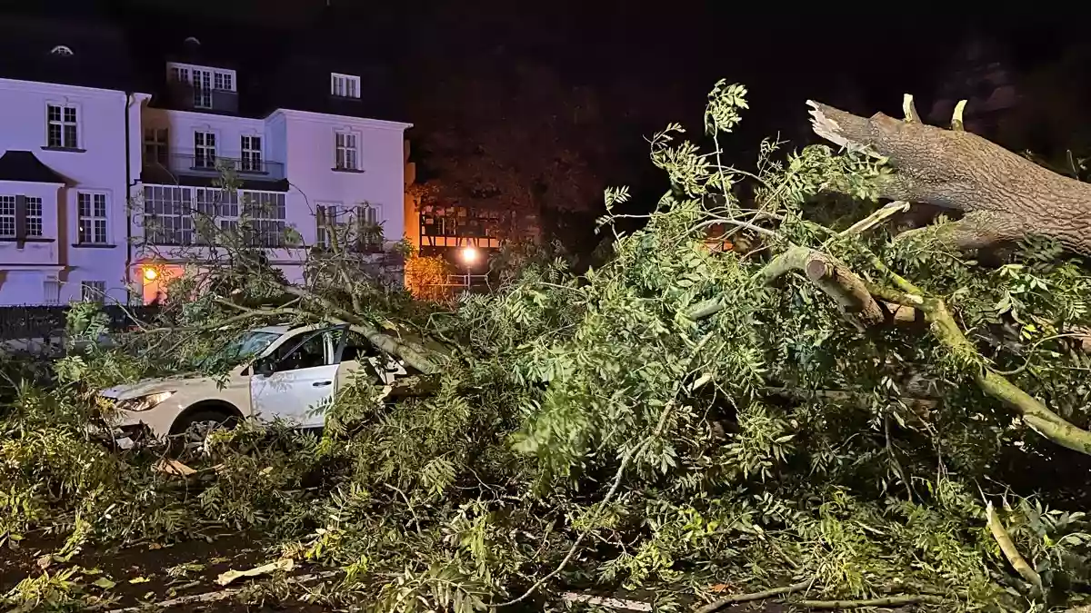 POL-MI: Zahlreiche witterungsbedingte Einsätze Baum fällt auf PKW, 2 Personen leicht verletzt - Bild: presseportal.de
