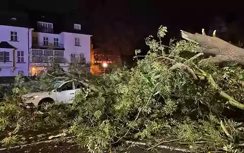 POL-MI: Zahlreiche witterungsbedingte Einsätze Baum fällt auf PKW, 2 Personen leicht verletzt - Foto: presseportal.de