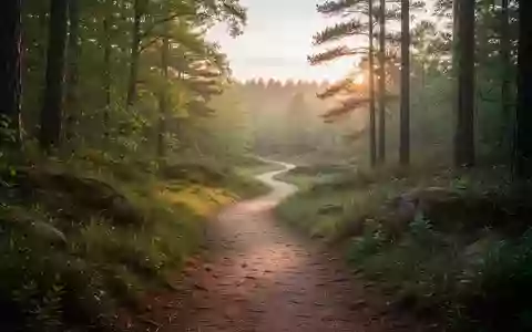 Ein naturbelassener Waldweg im sanften Morgenlicht, der zu Bewegung und körperlicher Aktivität einlädt. - Foto: über boerse-global.de
