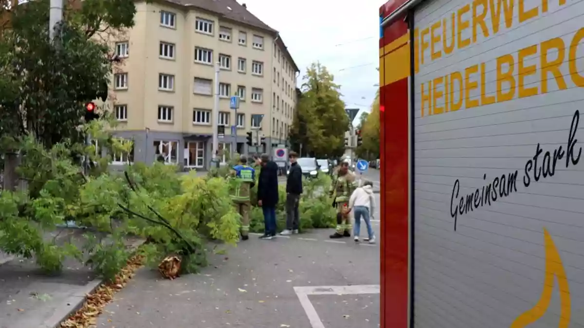 In mehreren Bundesländern rückte die Feuerwehr aus. - Bild: Rene Priebe/dpa
