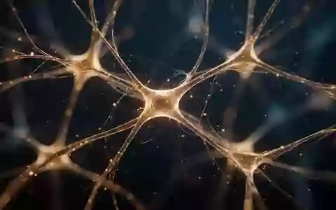 Abstrakte Darstellung eines komplexen neuronalen Netzwerks mit leuchtenden Verbindungen vor einem dunklen Hintergrund. - Foto: ĂŒber boerse-global.de