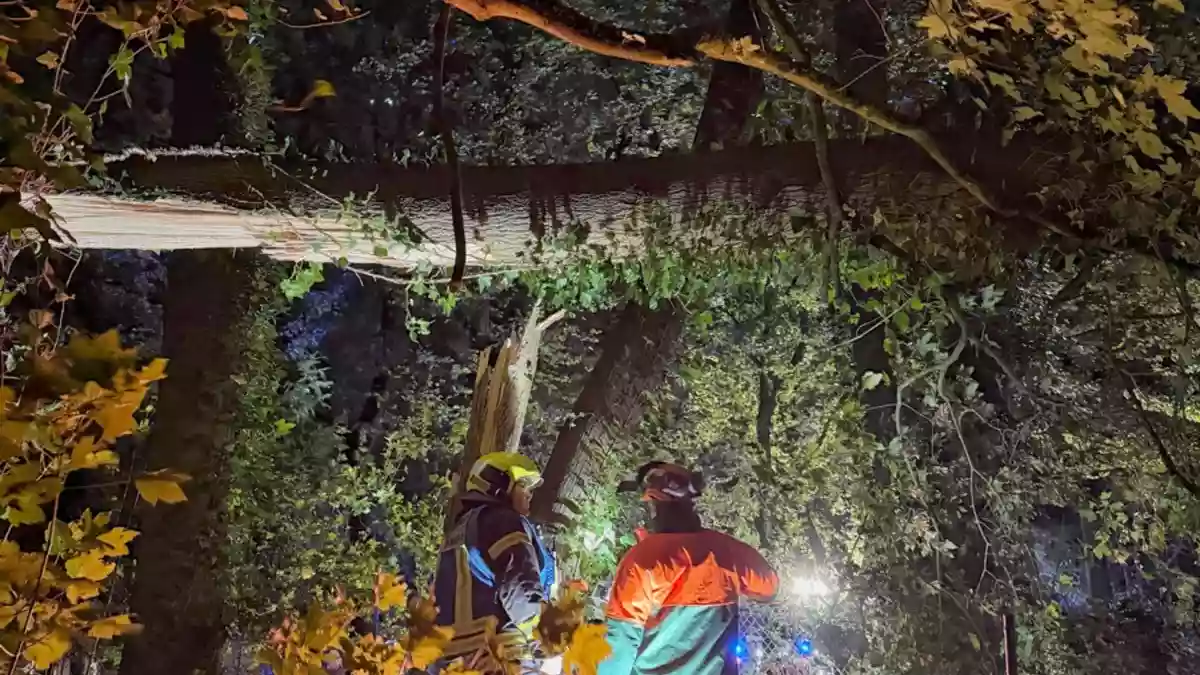 FW-NE: Bombenentschärfung und 39 Sturmeinsätze beschäftigen Feuerwehr Neuss | Abschlussbericht - Stand: 24.10.2026 - 12:00 Uhr - Bild: presseportal.de
