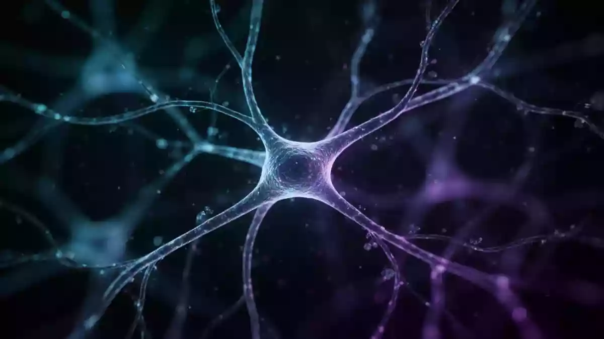 Neurotransmitter im Fokus: Wie GABA, Glutamat und Medikamente wirken