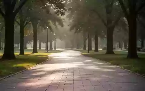 Ein leerer, sonnendurchfluteter Gehweg in einem Park, der zu einem Spaziergang einlädt. - Foto: über boerse-global.de