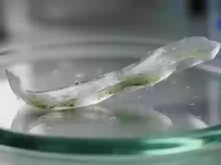 Ein lichtdurchlässiger, grünlicher Hydrogel-Streifen auf einer Glasoberfläche in einem Labor. - Foto: über boerse-global.de
