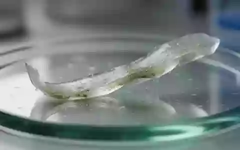 Ein lichtdurchlässiger, grünlicher Hydrogel-Streifen auf einer Glasoberfläche in einem Labor. - Foto: über boerse-global.de