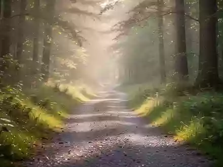 Ein ruhiger Waldweg, der sich durch eine grüne Landschaft schlängelt, symbolisiert Bewegung und körperliche Aktivität. - Foto: über boerse-global.de