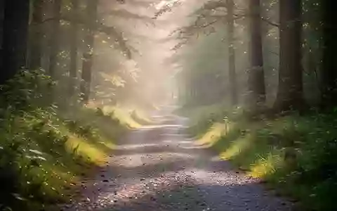 Ein ruhiger Waldweg, der sich durch eine grüne Landschaft schlängelt, symbolisiert Bewegung und körperliche Aktivität. - Foto: über boerse-global.de
