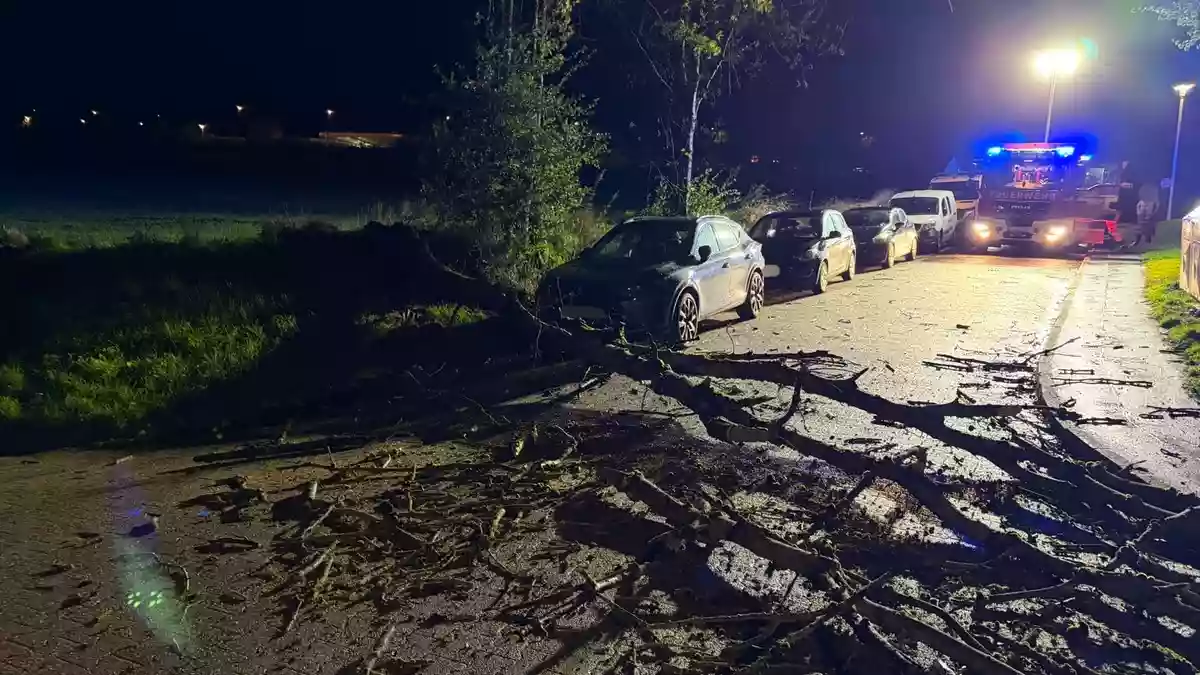 FW-EN: Herbststurm sorgt für viele Einsätze in Sprockhövel - Zusammenfassung der Ereignisse - Bild: presseportal.de