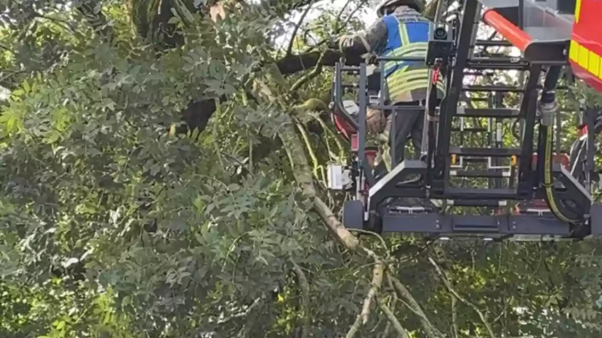 FW Bocholt: Herbststurm sorgt für zahlreiche Einsätze der Feuerwehr Bocholt - Bild: presseportal.de