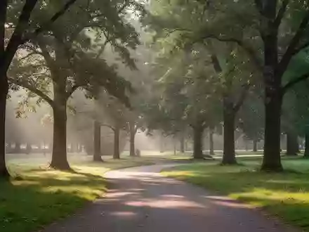 Ein sonniger Parkweg in einer grünen Landschaft, der eine gesunde und aktive Lebensweise symbolisiert. - Foto: über boerse-global.de