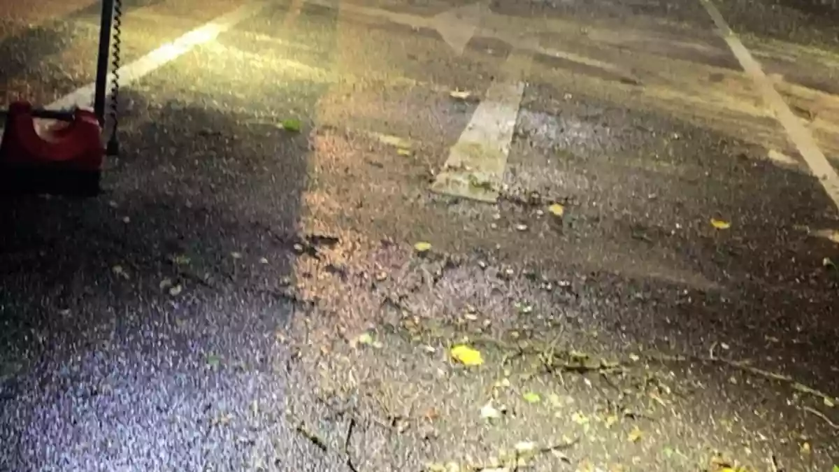 FW Niederkrüchten: Feuerwehr Niederkrüchten rückt zu acht Sturmeinsätzen aus / Umgestürzte Bäume blockieren Straßen und Zufahrten - Bild: presseportal.de