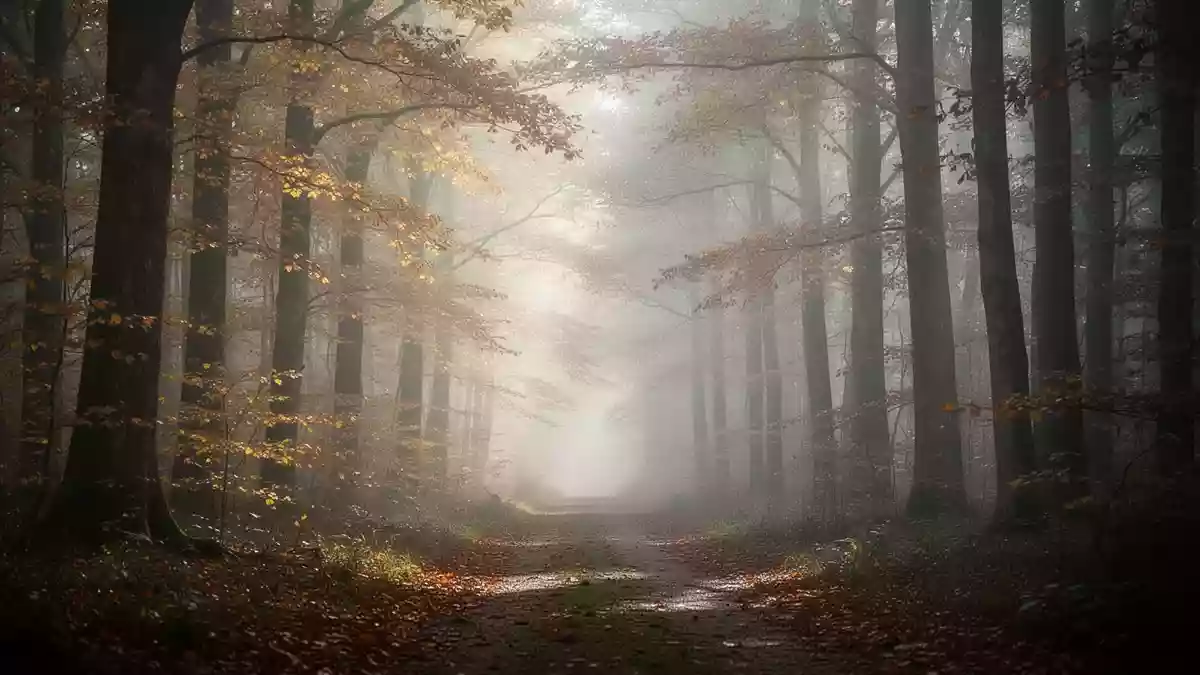 Herbstliche Stimmungstiefs: Licht, Routinen und Hilfe stärken die Psyche