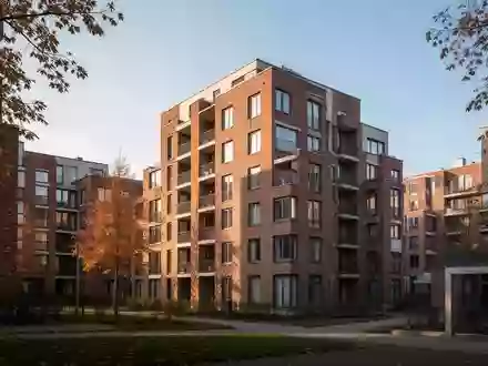Mehrfamilienhäuser in einem Wohnquartier an einem sonnigen Herbsttag. - Foto: über boerse-global.de