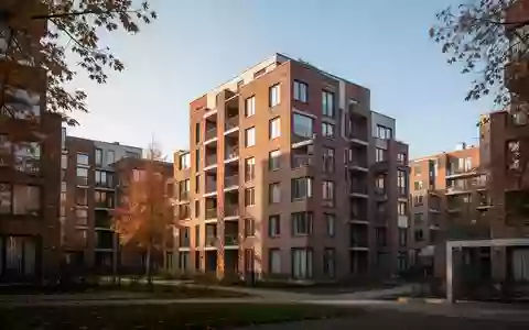 Mehrfamilienhäuser in einem Wohnquartier an einem sonnigen Herbsttag. - Foto: über boerse-global.de