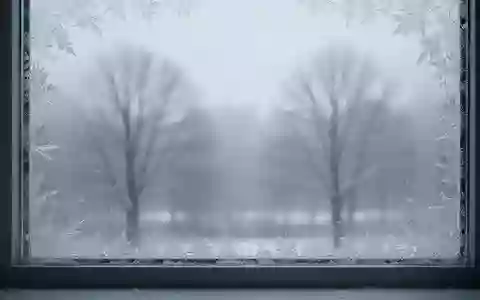 Mit Raureif bedeckte Fensterscheibe mit Blick auf eine winterliche, neblige Landschaft bei diffusem Tageslicht. - Foto: über boerse-global.de