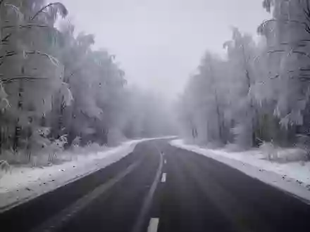 Eine verschneite, menschenleere LandstraĂźe in einem frostigen Wald bei trĂĽbem Winterwetter. - Foto: ĂĽber boerse-global.de