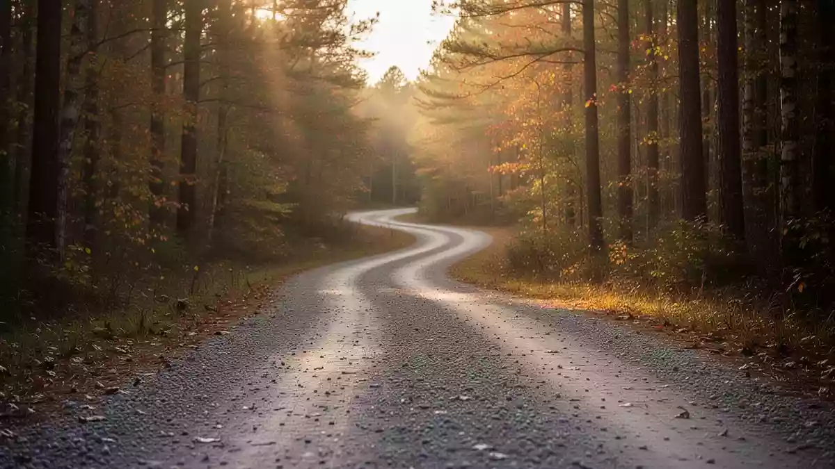 ACC-Konsens: 7.000 Schritte reichen für Herz-Kreislauf-Vorteile