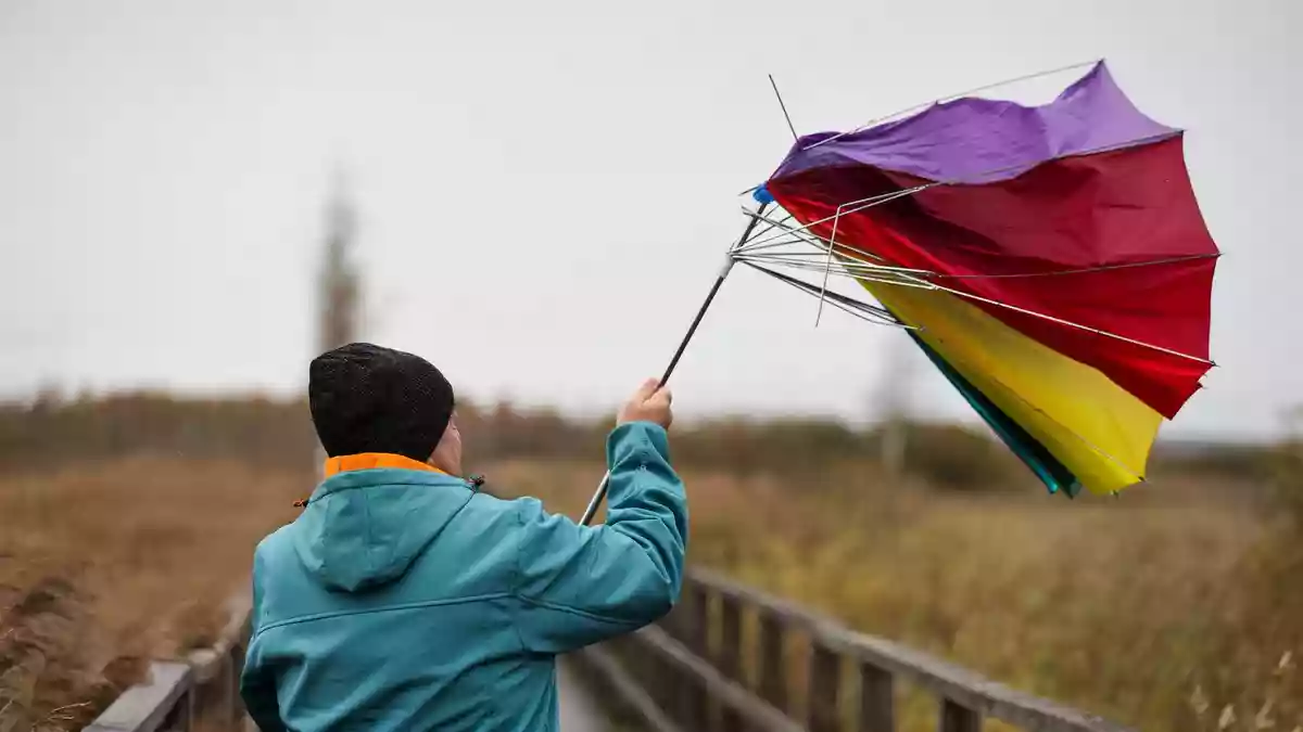 In weiten Teilen Deutschlands ist es stürmisch. - Bild: Thomas Warnack/dpa