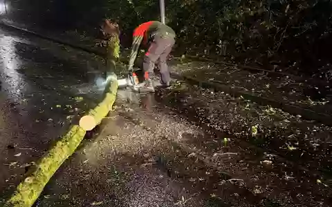 FW Weinheim: Umgestürzter Baum blockiert Straße in Nächstenbach. Feuerwehr Weinheim beseitigt Sturmschaden in den frühen Morgenstunden. - Foto: presseportal.de