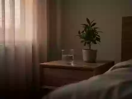 Ein minimalistisches Schlafzimmer in der Morgendämmerung mit einem leeren Glas Wasser und einer Zimmerpflanze auf einem Nachttisch. - Foto: über boerse-global.de