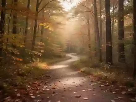 Ein gewundener Waldpfad im herbstlichen Licht, der ein Gefühl von Bewegung und Vitalität vermittelt. - Foto: über boerse-global.de