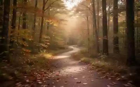 Ein gewundener Waldpfad im herbstlichen Licht, der ein Gefühl von Bewegung und Vitalität vermittelt. - Foto: über boerse-global.de