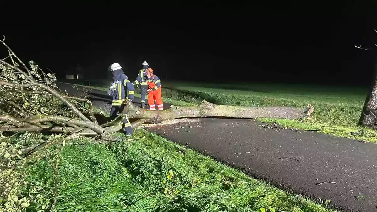 FW Sonsbeck: Einsatzbilanz des stürmischen Herbstwochenendes - Bild: presseportal.de
