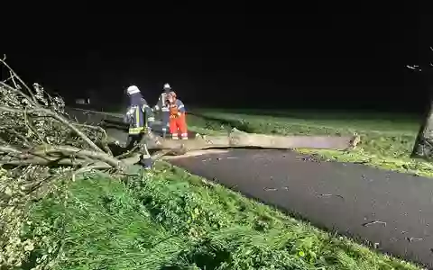 FW Sonsbeck: Einsatzbilanz des stürmischen Herbstwochenendes - Foto: presseportal.de