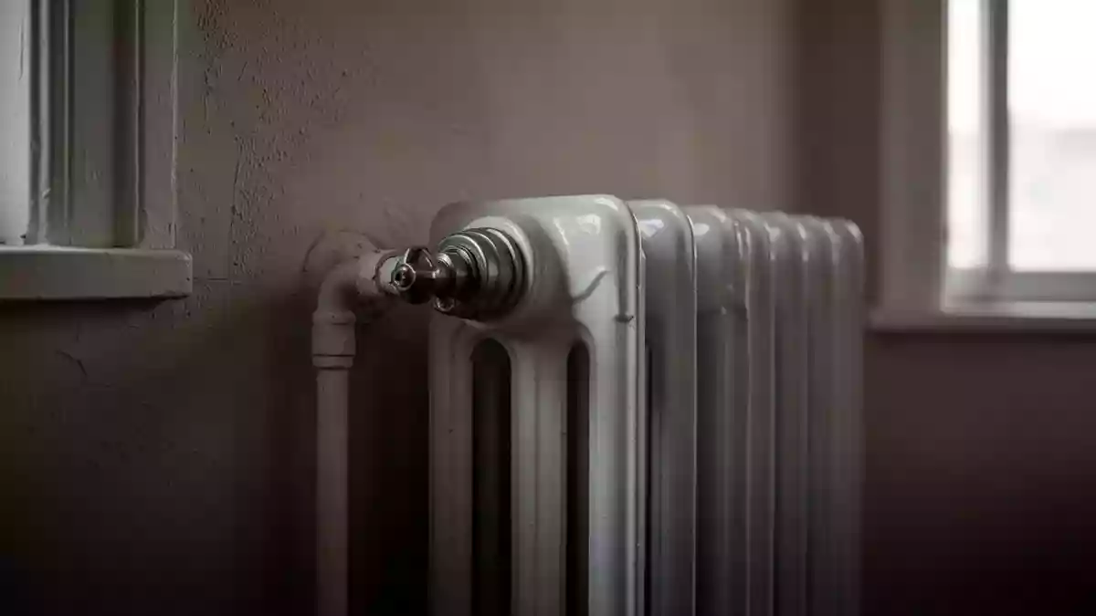 Heizkosten: Rohrwärme, Sparmöglichkeiten und erwartete Gaspreissteigerungen