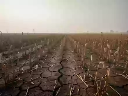 Ein ausgetrocknetes, rissiges Ackerfeld verdeutlicht die Auswirkungen von Dürre und Klimawandel auf die Nahrungsmittelproduktion. - Foto: über boerse-global.de