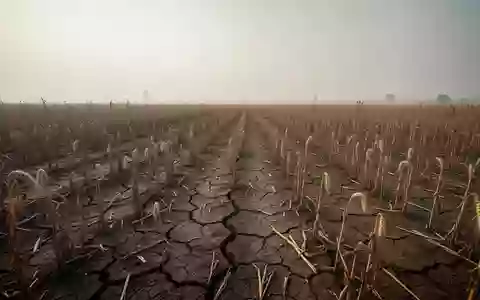 Ein ausgetrocknetes, rissiges Ackerfeld verdeutlicht die Auswirkungen von Dürre und Klimawandel auf die Nahrungsmittelproduktion. - Foto: über boerse-global.de