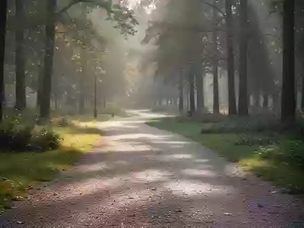 Ein sonnendurchfluteter Waldweg in einem Park, der für einen gesunden Lebensstil und körperliche Bewegung steht. - Foto: über boerse-global.de