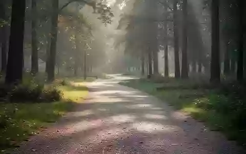 Ein sonnendurchfluteter Waldweg in einem Park, der für einen gesunden Lebensstil und körperliche Bewegung steht. - Foto: über boerse-global.de