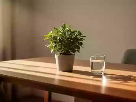 Ein minimalistischer Arbeitsplatz mit einer Pflanze und einem Glas Wasser in sanftem Morgenlicht. - Foto: über boerse-global.de