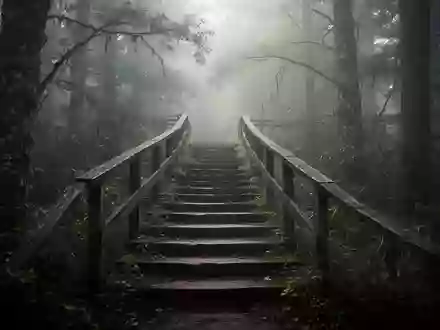 Eine einsame, verwitterte Holztreppe, die in einen nebligen Wald führt und das Streben nach ständiger Perfektion symbolisiert. - Foto: über boerse-global.de