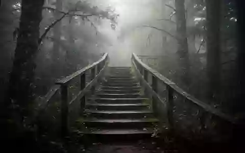 Eine einsame, verwitterte Holztreppe, die in einen nebligen Wald führt und das Streben nach ständiger Perfektion symbolisiert. - Foto: über boerse-global.de