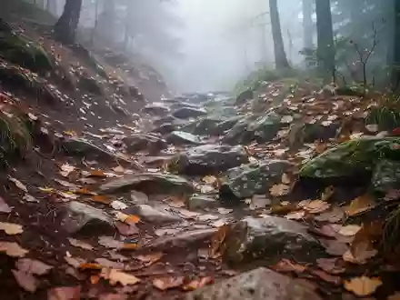 Ein steiler, herbstlicher Wanderweg mit felsigem Untergrund und herabgefallenem Laub in einem nebligen Wald. - Foto: über boerse-global.de
